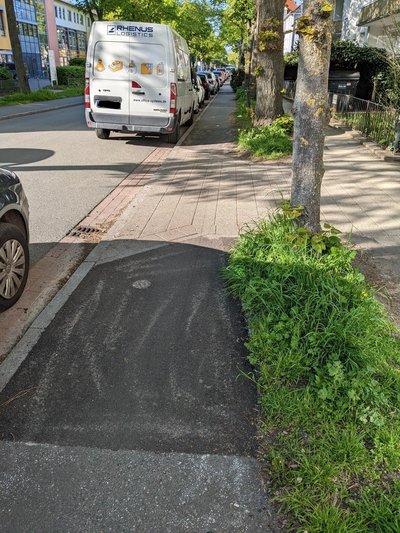 Erneuerter Asphalt auf Radweg neben Bäumen 